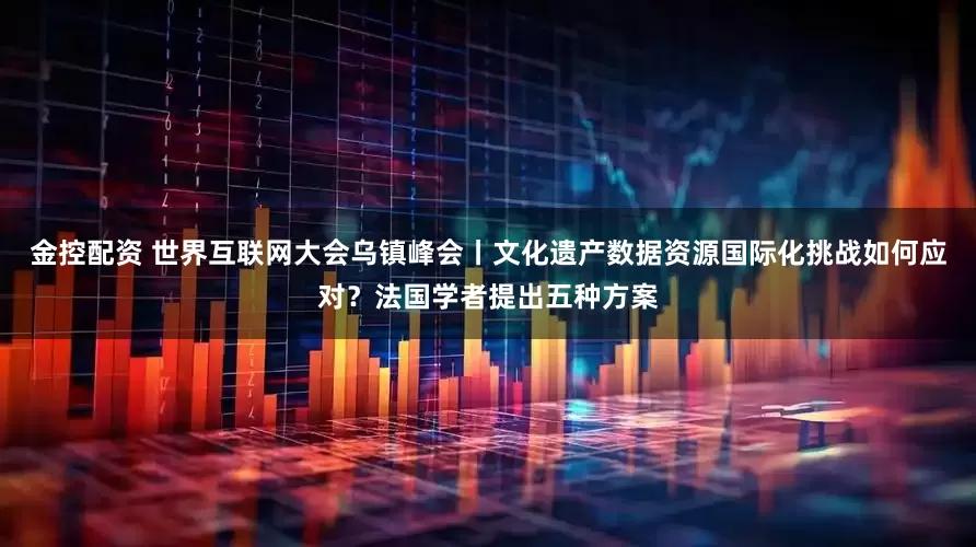 金控配资 世界互联网大会乌镇峰会丨文化遗产数据资源国际化挑战如何应对？法国学者提出五种方案
