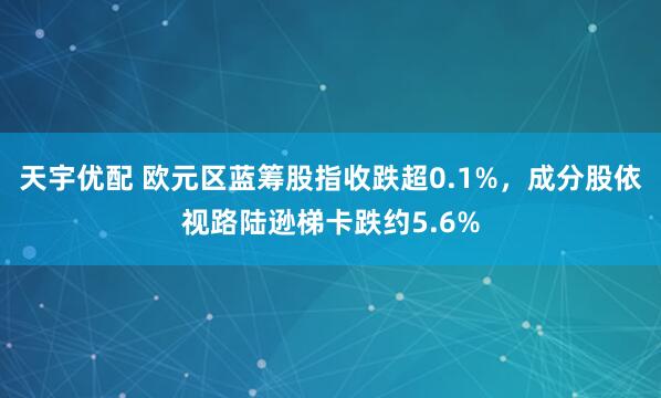 天宇优配 欧元区蓝筹股指收跌超0.1%，成分股依视路陆逊梯卡跌约5.6%